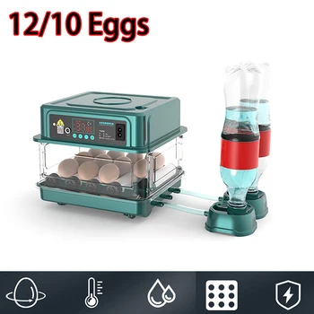 Инкубатор за 10/12 Яйца за Пиле, Гъска, Птици, Пъдпъдъци, Автоматично Инкубационное Обзавеждане, Излюпването на Инструменти за инкубация в Инкубаториях ЕС/САЩ, Штепсельная вилица